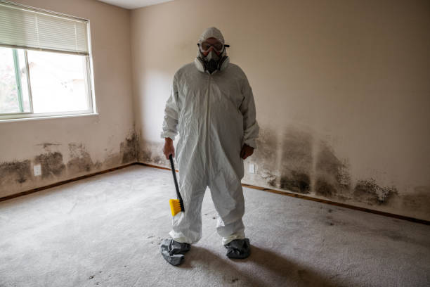 Best Residential Mold Removal  in Archbold, OH